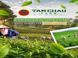 Khu Du Lịch Tâm Châu Farm