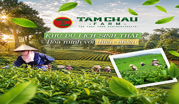 Khu Du Lịch Tâm Châu Farm